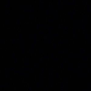 Meet your Posher, Brittney